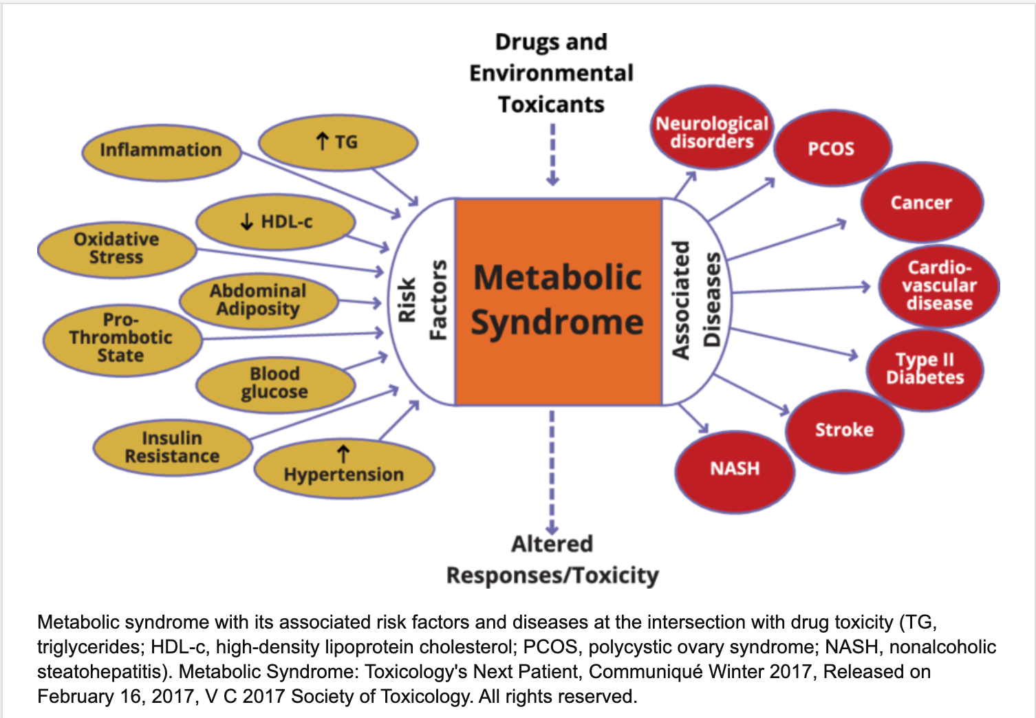 drugs and environmental toxicants