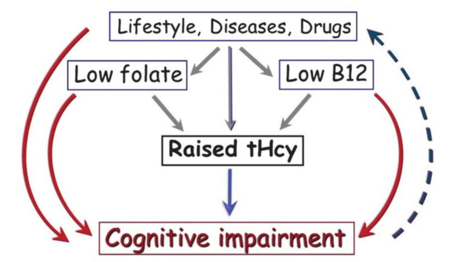 cognitive impairment