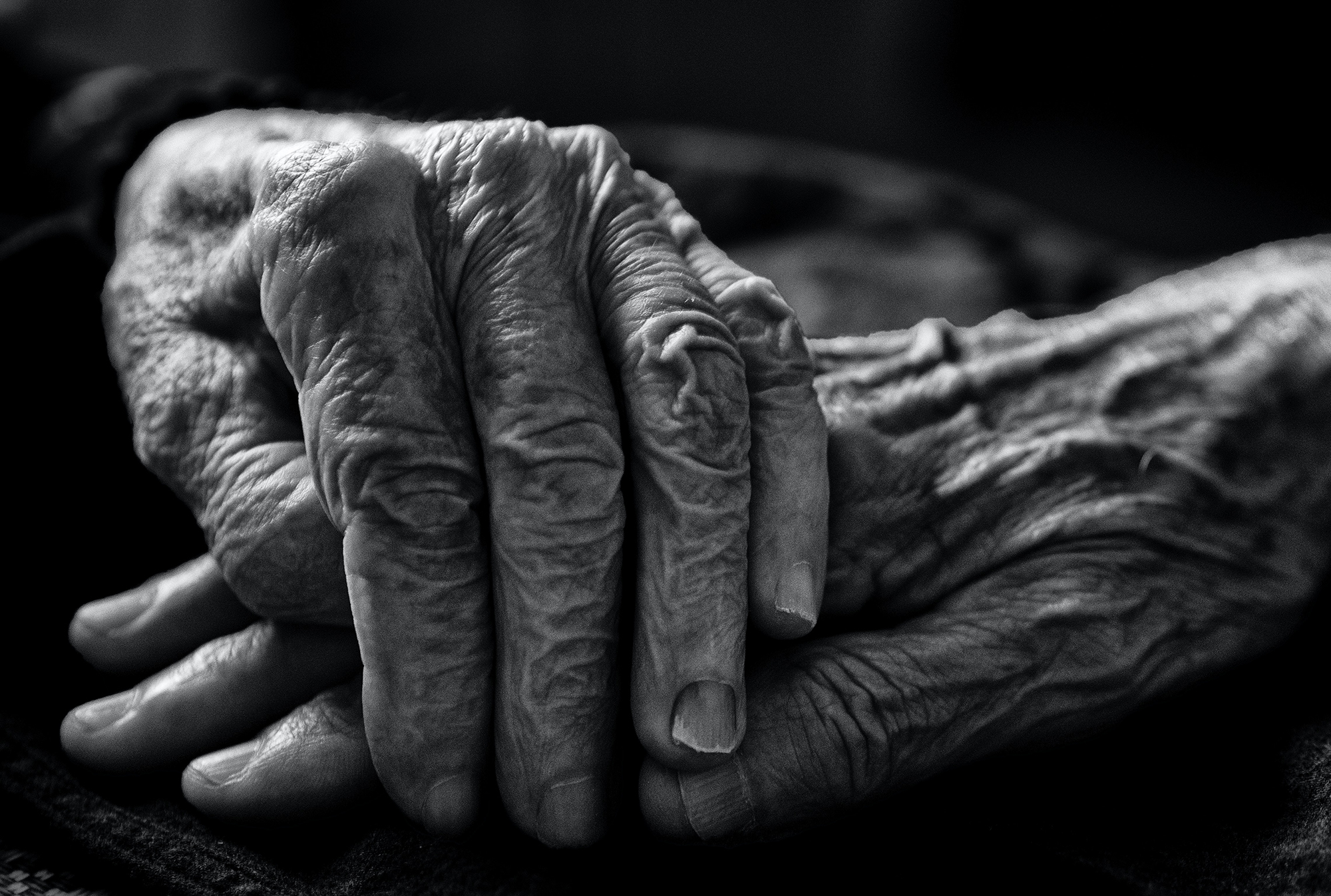 pexels-andré-ulysses-de-salis-7785175 Alzheimer’s Disease Genetics