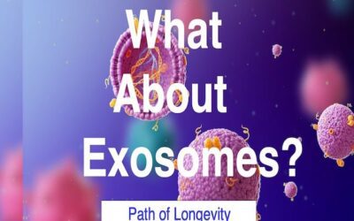 What About Exosomes?