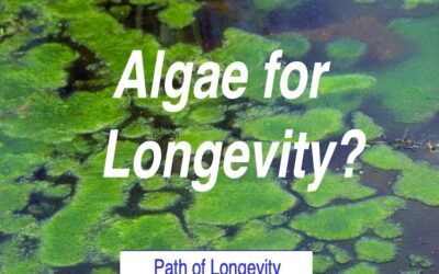 Algae for Longevity?