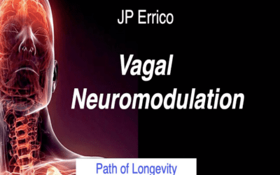 Vagal Neuromodulation