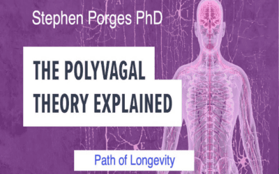 The Polyvagal Theory Explained