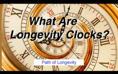 What Are Longevity Clocks?