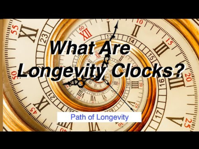What Are Longevity Clocks?