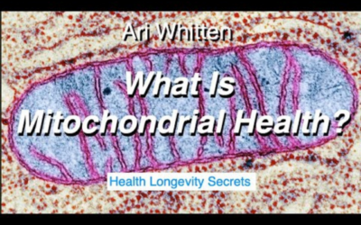 What is Mitochondrial Health?