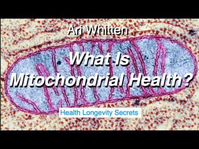 What is Mitochondrial Health?