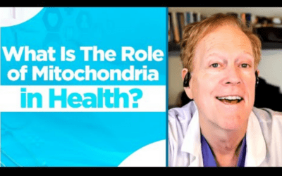 What Is The Role of Mitochondria In Health?