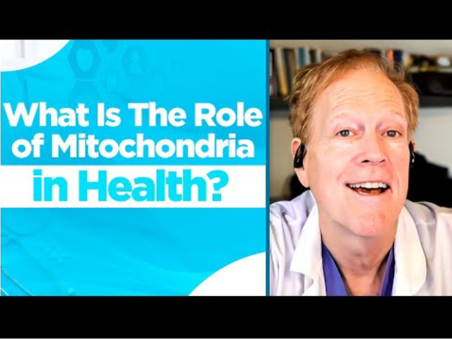 What Is The Role of Mitochondria In Health?