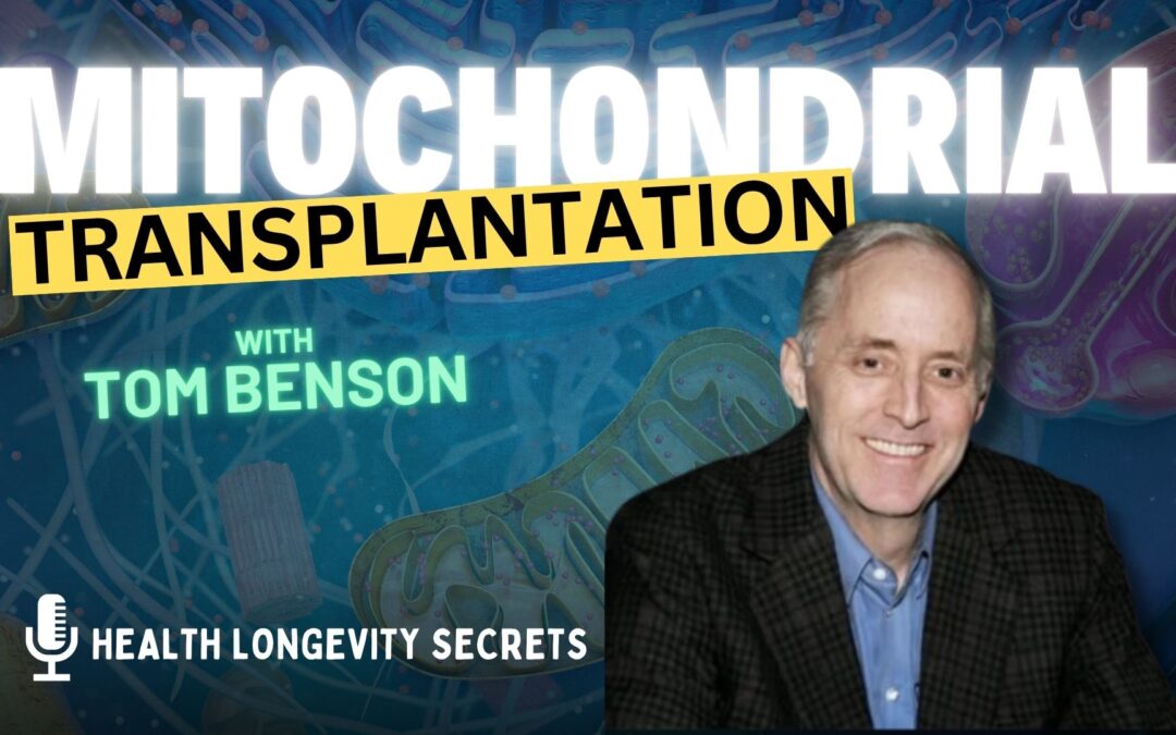 Does Mitochondrial Transplantation Work?