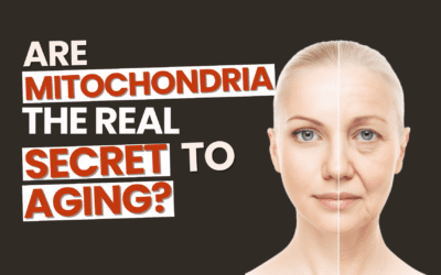 Are Mitochondria The Real Secret to Aging?